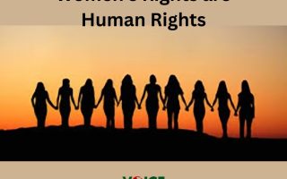 480675653_629229306498002_1130821372821707418_n